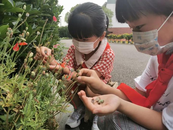 今年宁波校园“六一”打开方式有爱又有创意