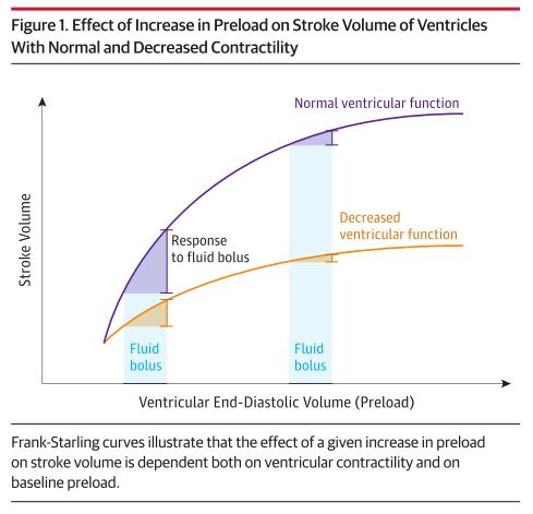 以目标为导向的液体治疗,目标导向型液体治疗的概念