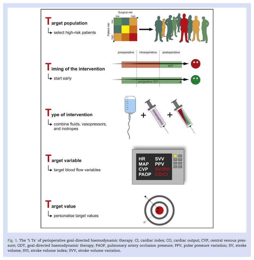 以目标为导向的液体治疗,目标导向型液体治疗的概念