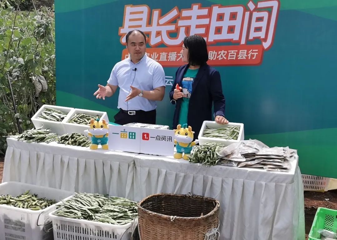 高升：为了不再看到几年没见过父母的孩子眼里透露的酸楚，我一定要履好职、尽好责！|精准扶贫