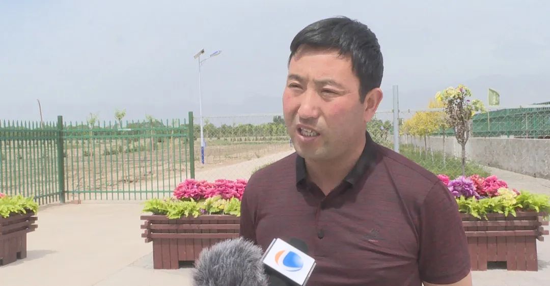 不走寻常路致富项目,致富不走寻常路