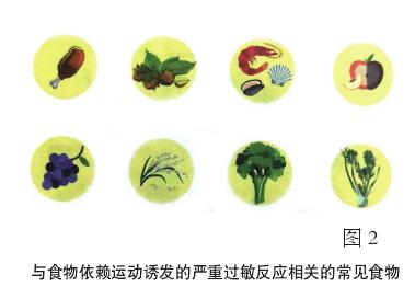 健康饮食运动对疾病的影响,食物诱发运动后过敏休克