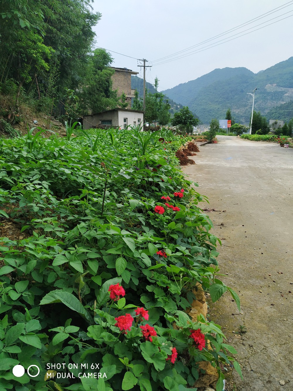 一个人的江湖闯荡,一个人的江湖纯属自娱自乐