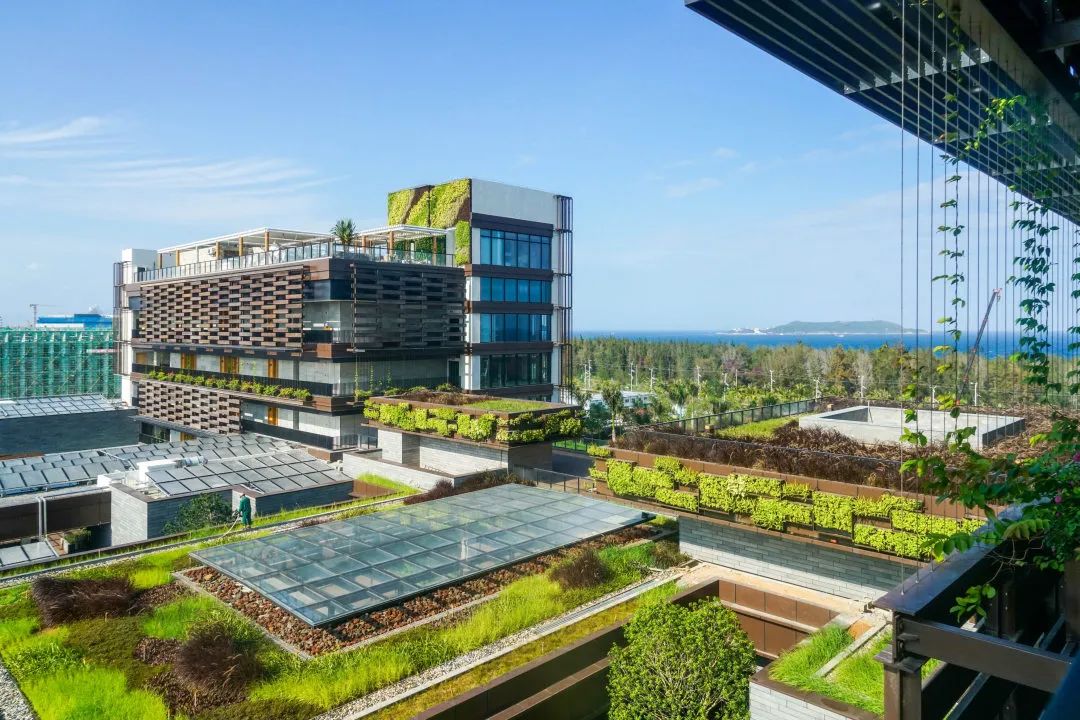 有1说1，1Hotels的三亚首秀要火