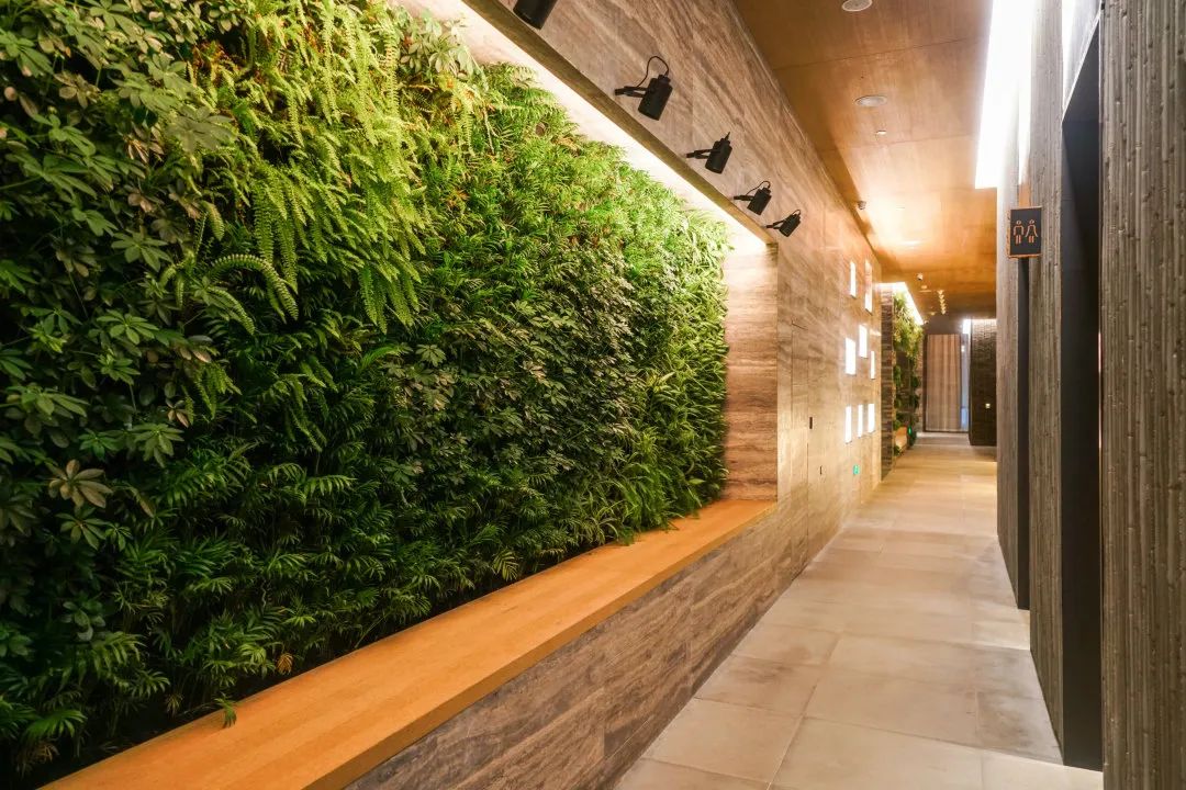 有1说1，1Hotels的三亚首秀要火