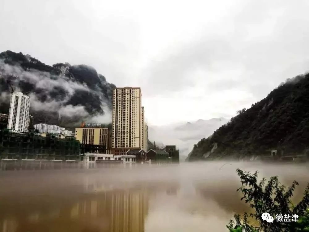 鍗拌薄鐩愭触,闆呮枃閴磋祻