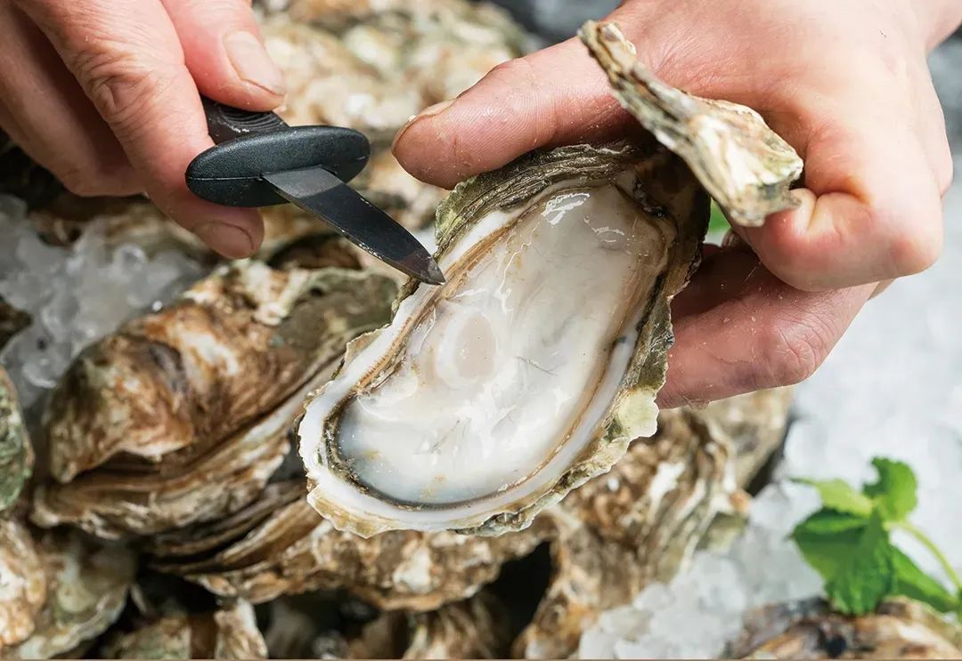 蚝英雄自助生蚝店银川,蚝英雄生蚝成本多少