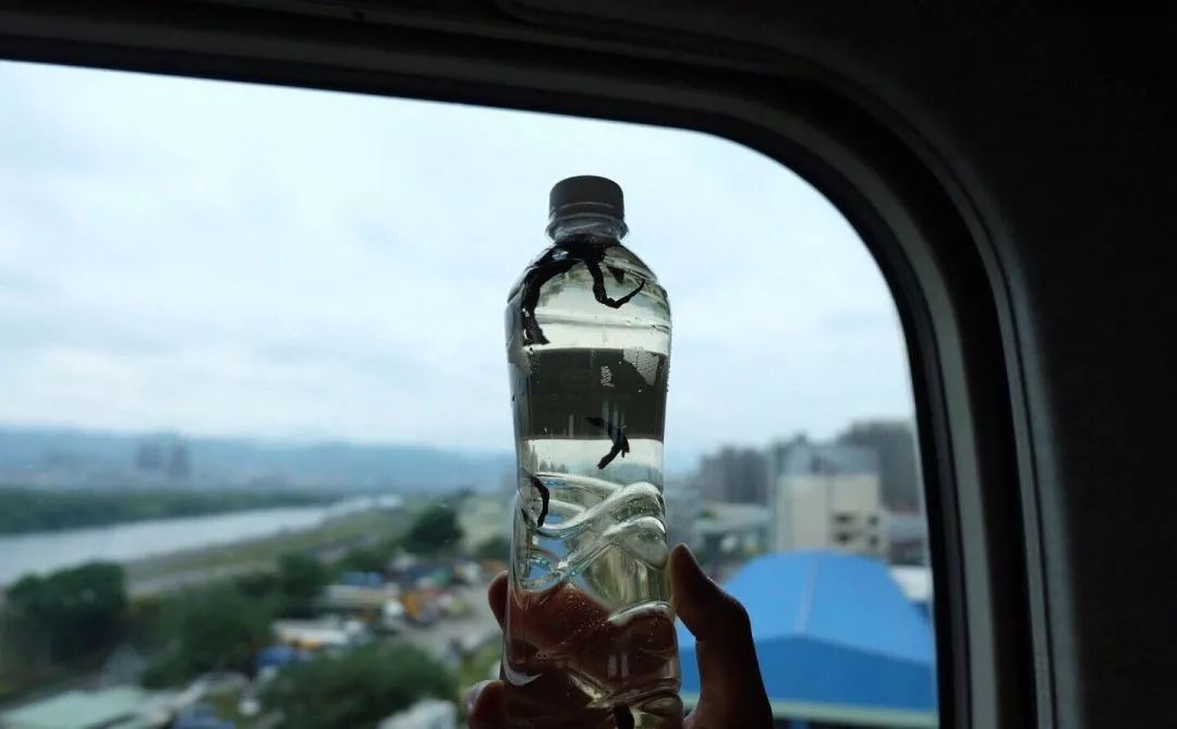 凤凰单丛怎样冲泡没有涩,凤凰单丛冲泡高清视频