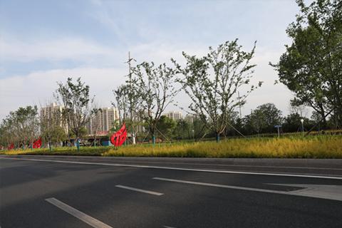 竞速新赛道,竞速三选一