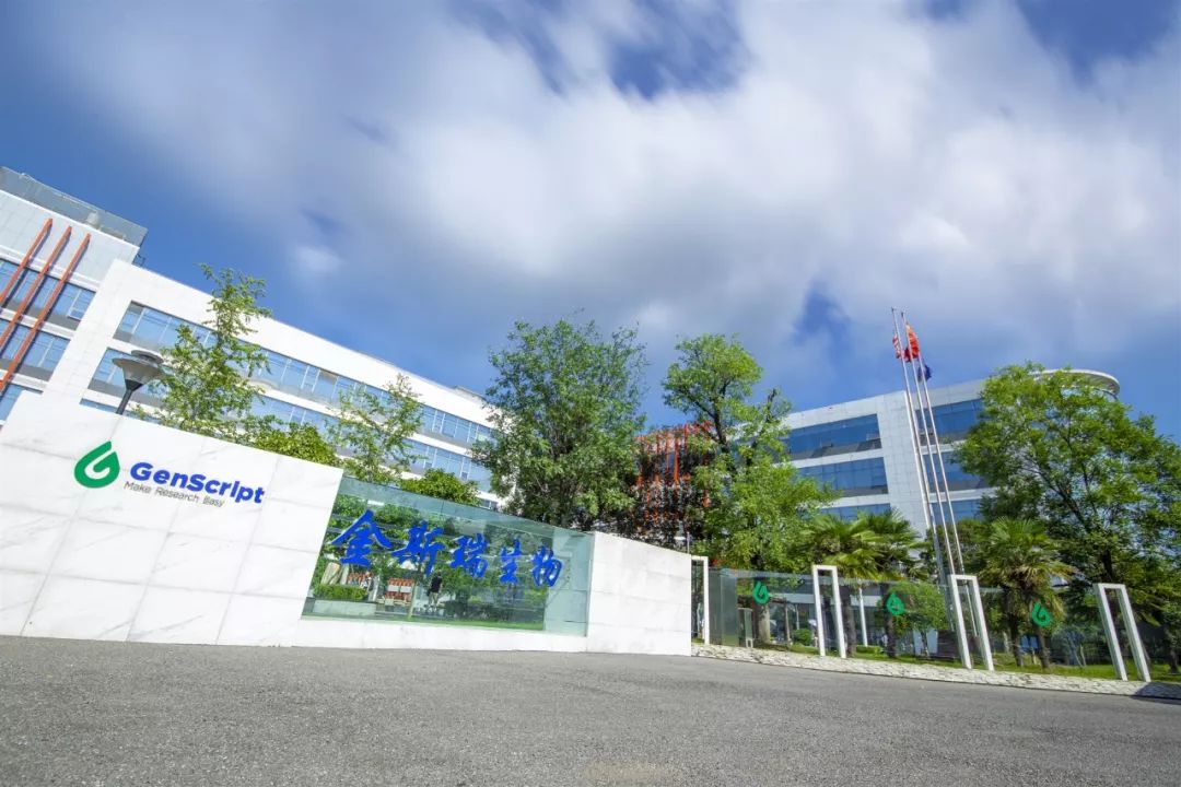 竞速新赛道,竞速三选一