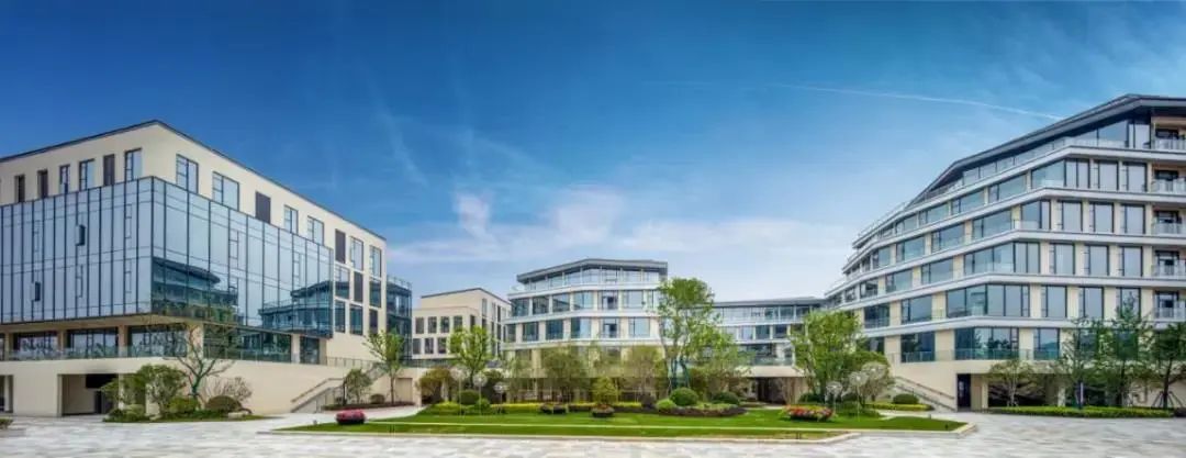 竞速新赛道,竞速三选一