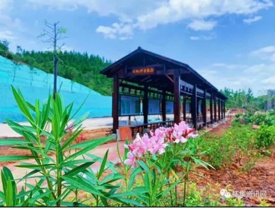 暑假肇庆旅游攻略,带上行囊出发吧