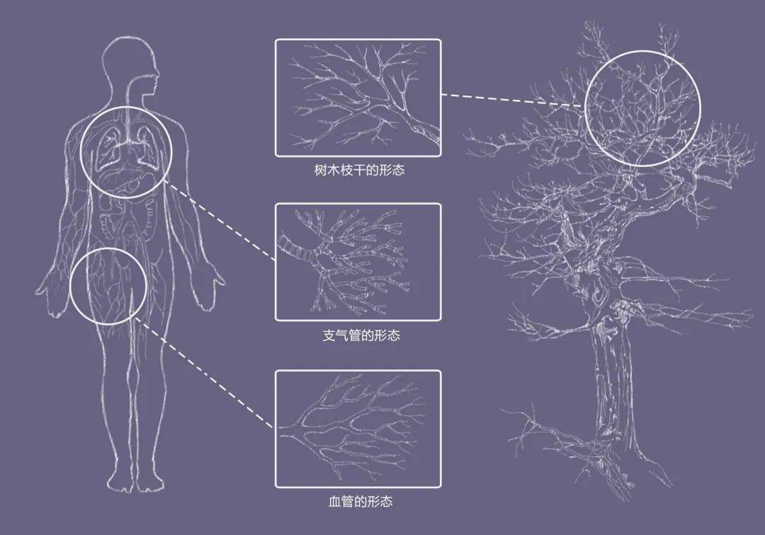 2021中央美术学院设计作品,中央美术学院2020毕业展作品