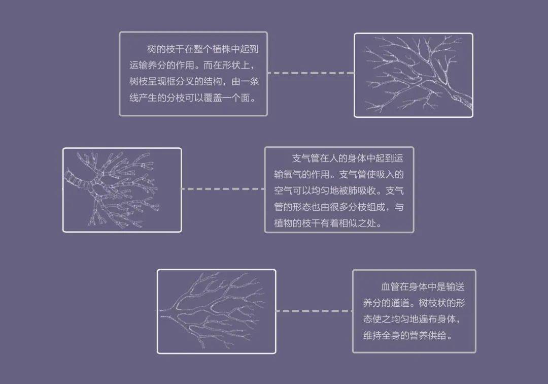 2021中央美术学院设计作品,中央美术学院2020毕业展作品