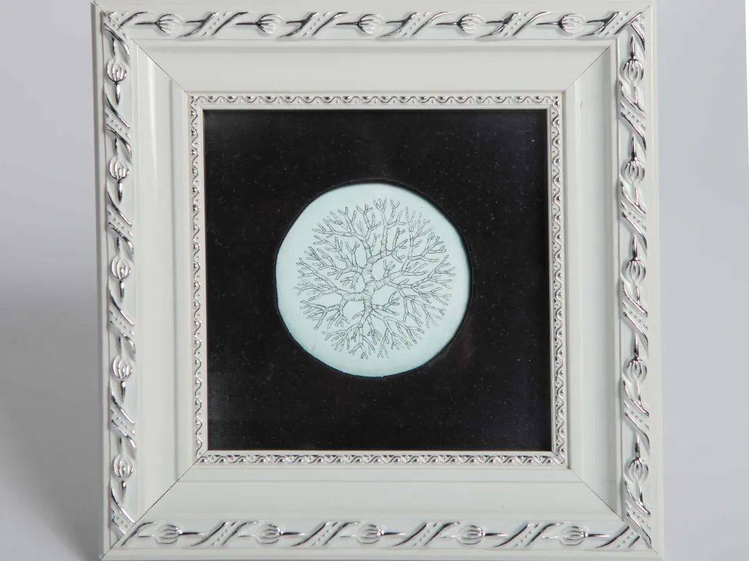 2021中央美术学院设计作品,中央美术学院2020毕业展作品