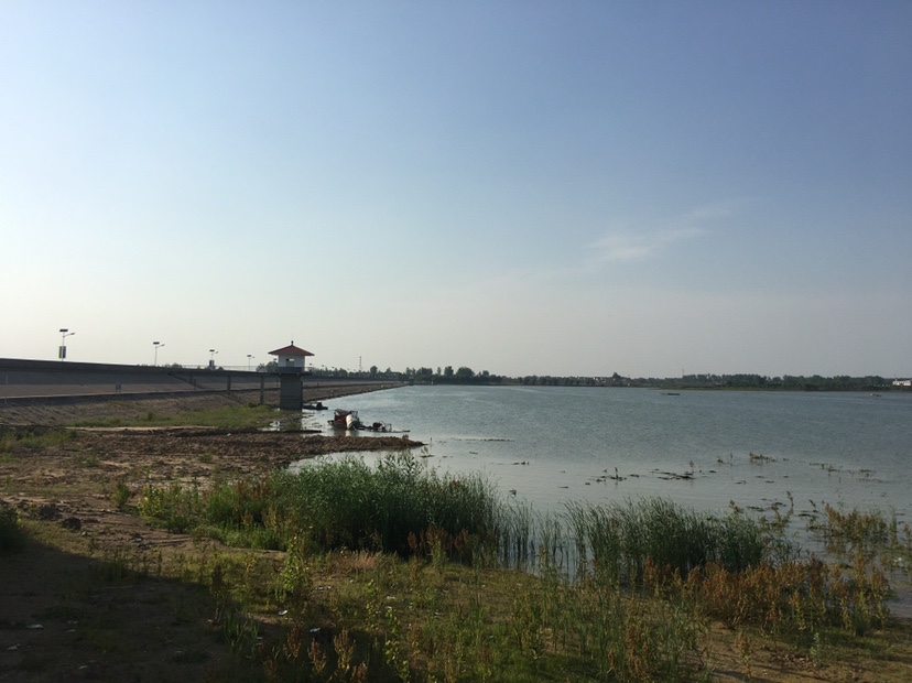 山湖水库迎风甩大鞭，没点技术怎么擒住斤翘