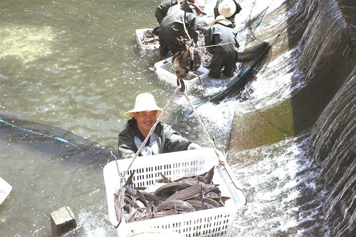 小康一个都不能少案例,小康之年一个也不能少