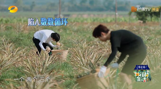 何炅和黄磊现状,何炅黄磊日常生活