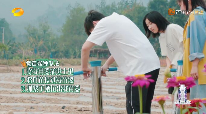 何炅和黄磊现状,何炅黄磊日常生活