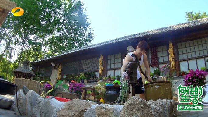 何炅和黄磊现状,何炅黄磊日常生活