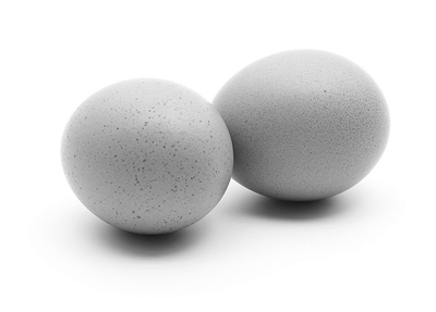 十大优质蛋白食物排行一览表,优质蛋白抗氧化剂的优质食物