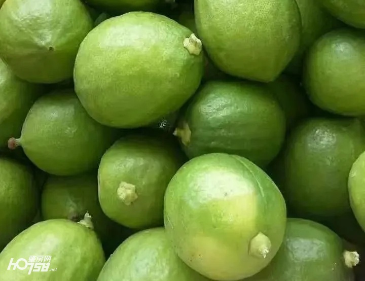 给力！怀集为妇女创业“贷”来“及时雨”