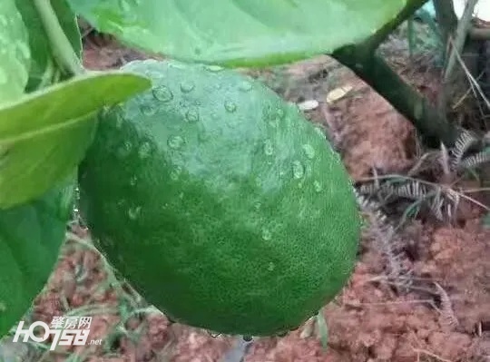 给力！怀集为妇女创业“贷”来“及时雨”