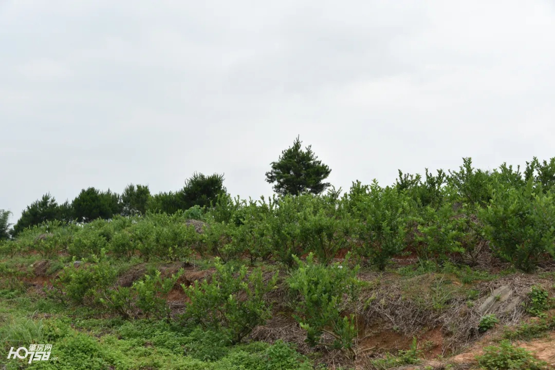 给力！怀集为妇女创业“贷”来“及时雨”