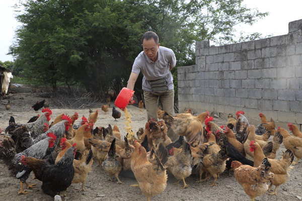 树起乡村振兴建设新标杆