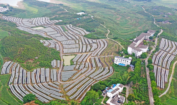 树起乡村振兴建设新标杆