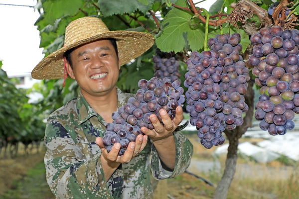树起乡村振兴建设新标杆