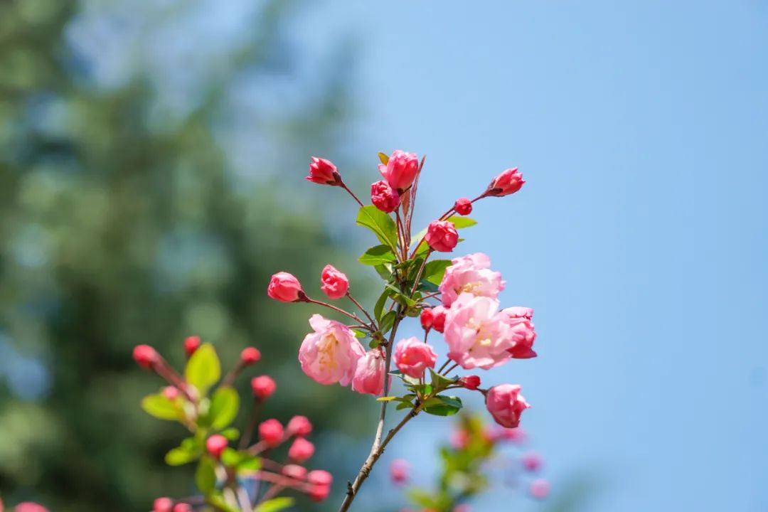 科普疼痛怎么回事,关节痛科普视频大全
