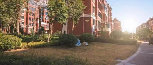 警惕！微信朋友圈“7不晒”：快去查查，晒了赶紧删掉