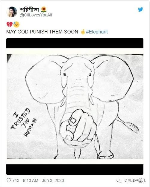 怀孕母象遭喂食藏火药,怀孕母象吃炸弹菠萝