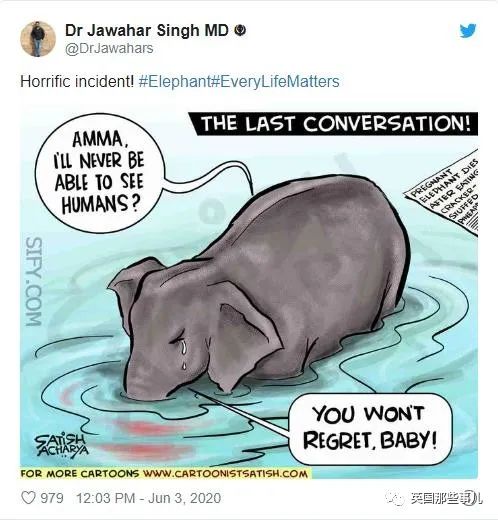 怀孕母象遭喂食藏火药,怀孕母象吃炸弹菠萝