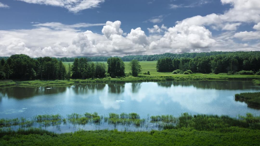 喜宝有机婴儿羊奶粉怎么样,喜宝有机羊奶粉