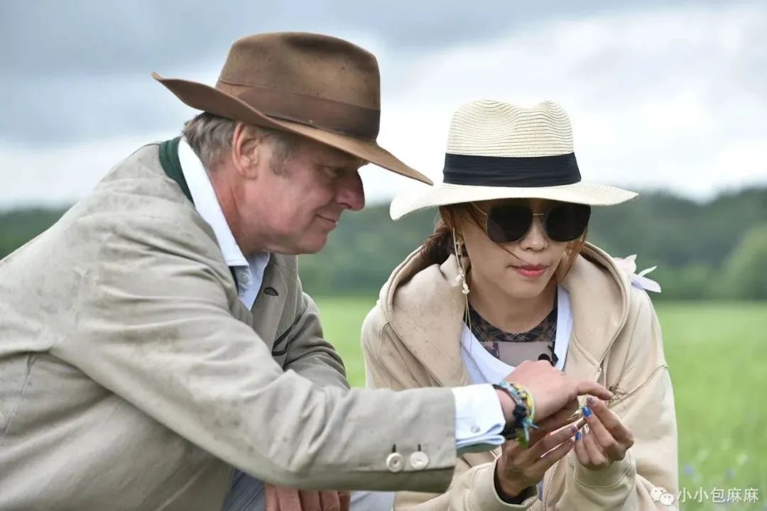 喜宝有机婴儿羊奶粉怎么样,喜宝有机羊奶粉