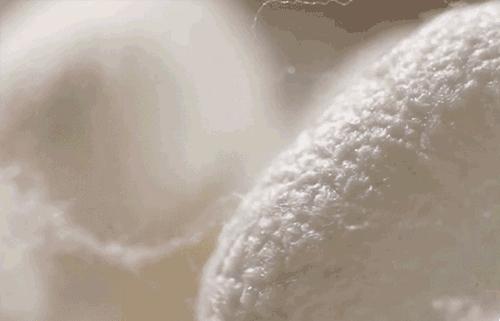 意大利纯棉夏季睡衣,轻奢莫代尔棉睡衣秋冬气质