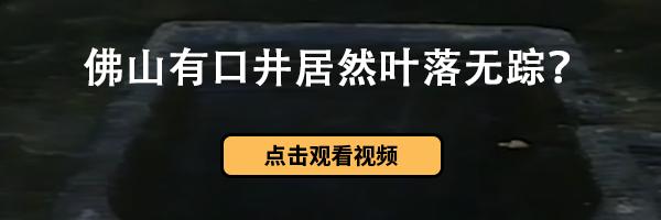 羡慕别人一口好牙,羡慕有一口好牙的人