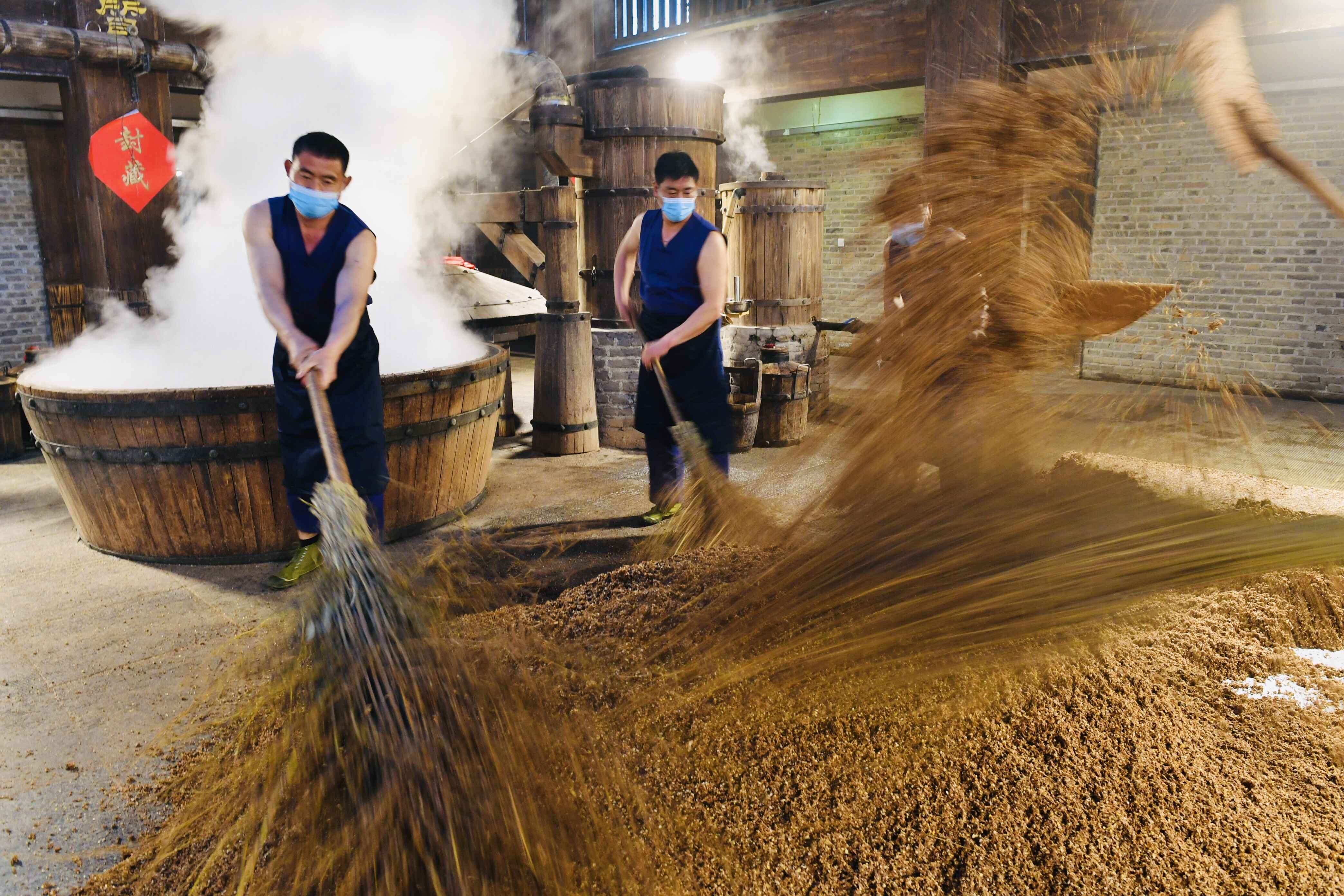 洋河的发展历史,名酒之乡洋河