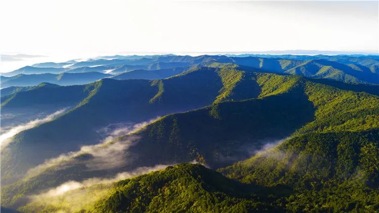 再造子午岭,再造一个子午岭有效吗