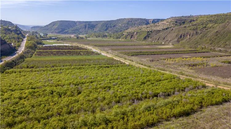 再造子午岭,再造一个子午岭有效吗