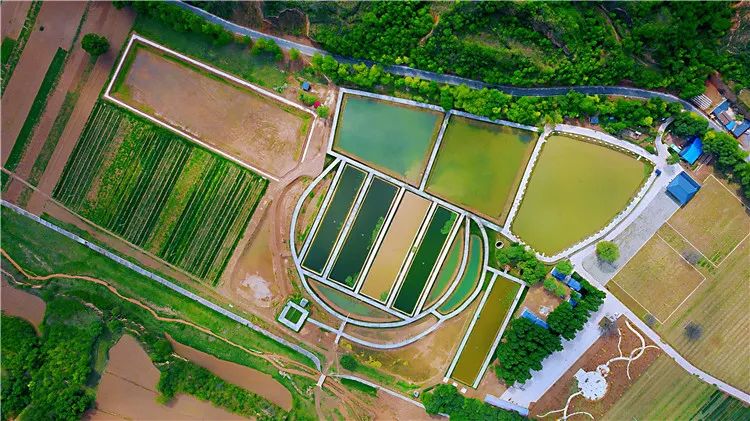 再造子午岭,再造一个子午岭有效吗