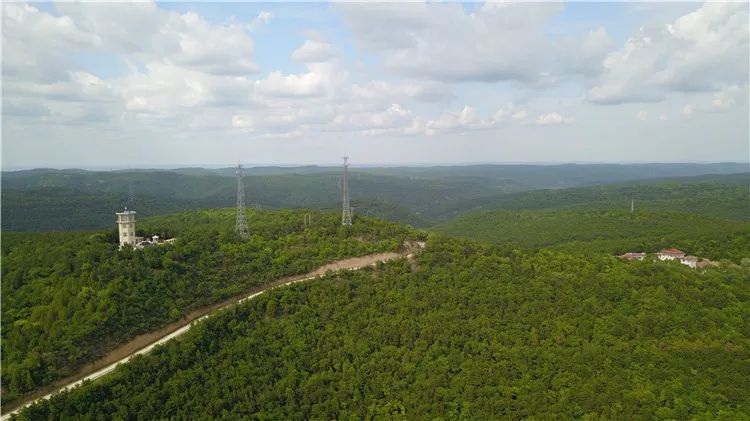 再造子午岭,再造一个子午岭有效吗