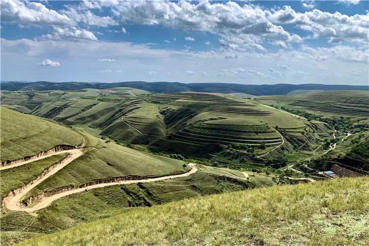 再造子午岭,再造一个子午岭有效吗