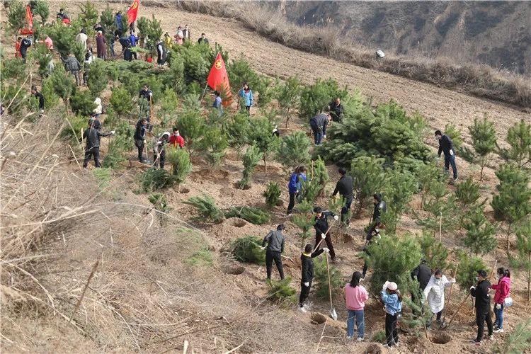 再造子午岭,再造一个子午岭有效吗