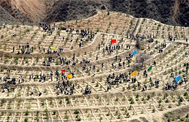 再造子午岭,再造一个子午岭有效吗