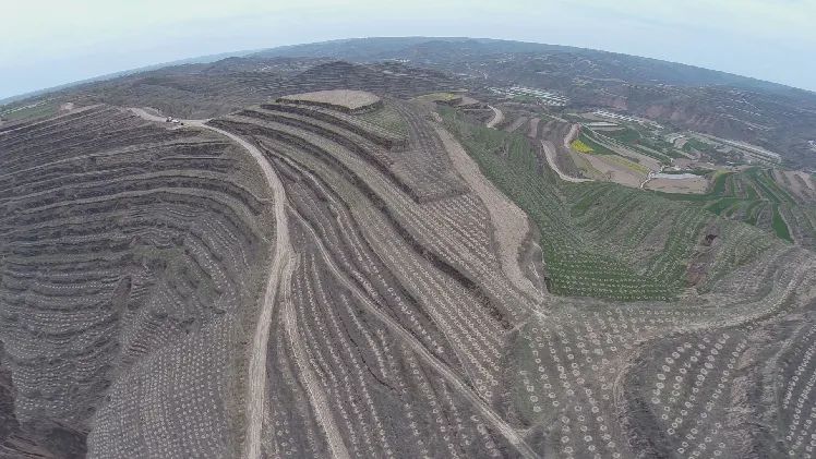 再造子午岭,再造一个子午岭有效吗
