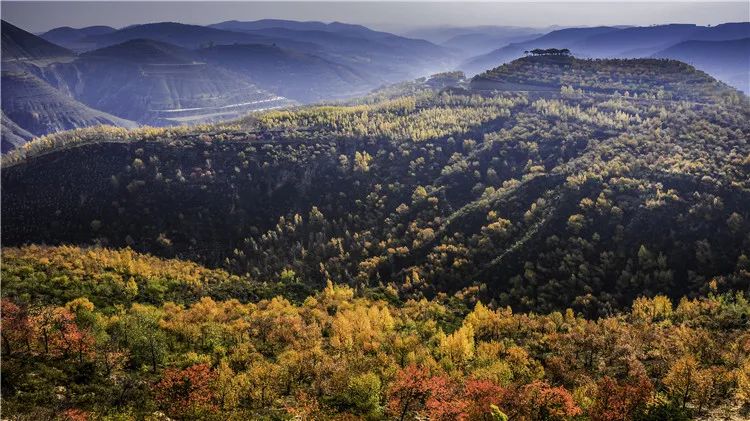 再造子午岭,再造一个子午岭有效吗