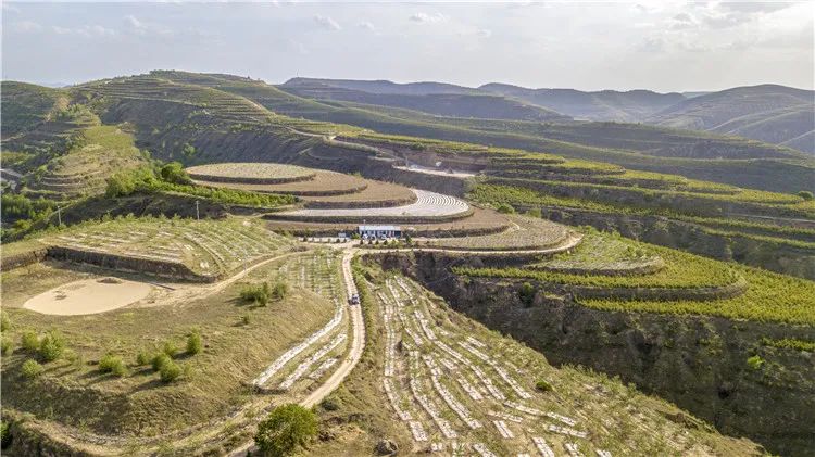 再造子午岭,再造一个子午岭有效吗